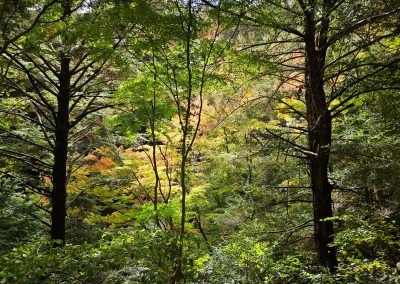 Itajiki-keikoku Valley