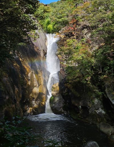 the Waterfall